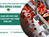 HƠI DUNG MÔI PHÁT SINH TRONG SẢN XUẤT THỰC PHẨM ĐÓNG HỘP
