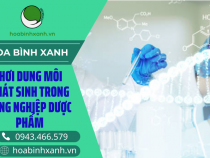 HƠI DUNG MÔI PHÁT SINH TRONG CÔNG NGHIỆP DƯỢC PHẨM