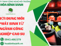HƠI DUNG MÔI PHÁT SINH TỪ NGÀNH CÔNG NGHIỆP CAO SU