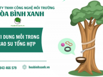 HƠI DUNG MÔI TRONG CAO SU TỔNG HỢP