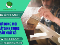 HƠI DUNG MÔI PHÁT SINH TRONG SẢN XUẤT GỖ